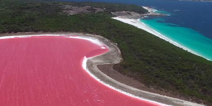 Невероватно прелепо место: Роуз језеро Хиллиер,, Аустралија
