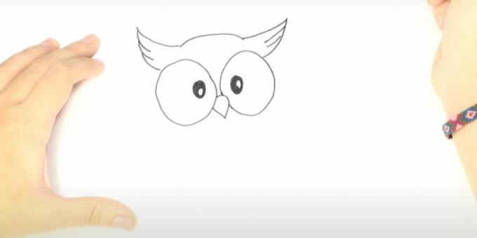 Како нацртати сову: нацртајте чупавце ушију