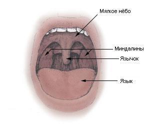 уклањање крајника