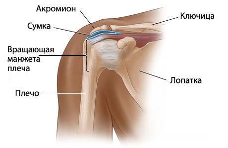 вразхаиусцхаиа манжетна