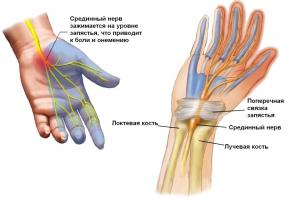 Миш са бочним грип - штеди затоксхеи четкицу