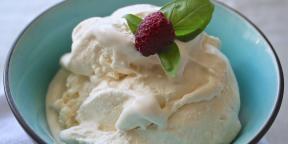15 домаћа сладолед рецепт, што је много боље него часописа