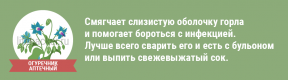 Храна као средство за борбу против инфекција