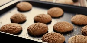 6 најбољих рецепата са овсеним колачићима