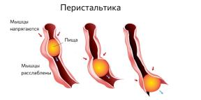 Одакле долази трзање у стомаку и када је опасно?