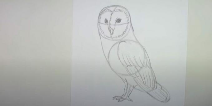 Како нацртати сову: нацртати другу шапу и обрисати крило