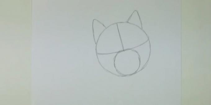 Нацртајте круг и означити мање уши