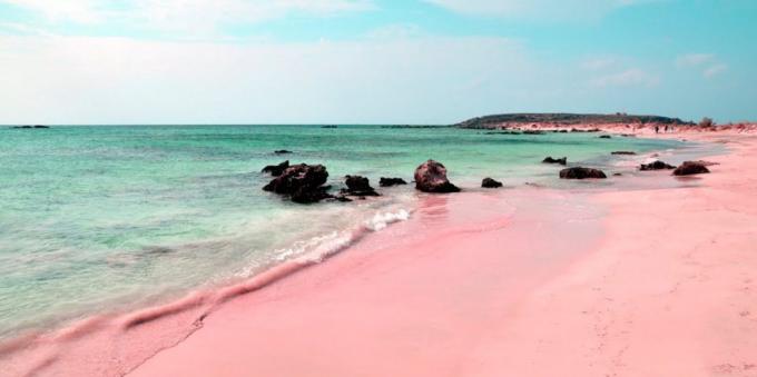 Невероватно прелепо место: розе плажа на Сардинији, Италија