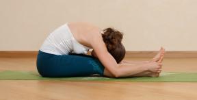 Развијају флексибилност: шта се дешава са телом за време јога и како да га правилно користити