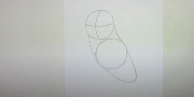 Како нацртати сову: оцртајте тело, прса и врат