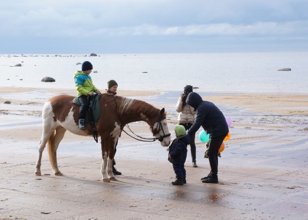 Кућа поред мора, јахање