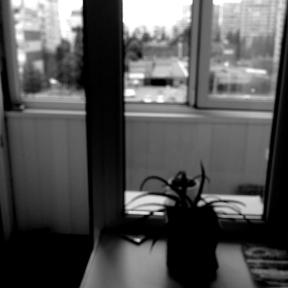 Ленка прави најбоље црно-беле фотографије на иПхоне, који сте икада видели