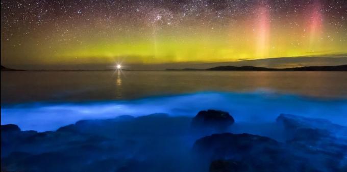 Невероватно прелепо место: биолуминесцентна воде обале Тасманије