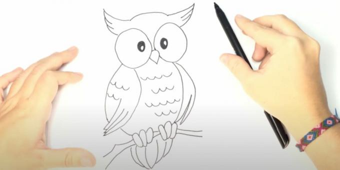 Како нацртати сову: нацртати канџе, грану и реп
