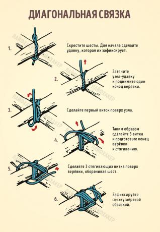 дијагонала лигамената