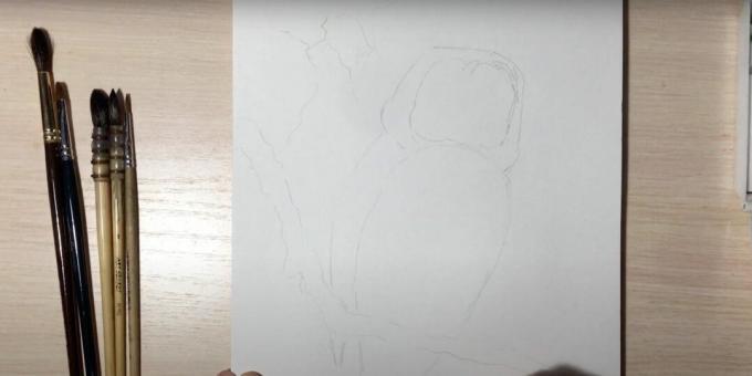 Како нацртати сову: оцртајте грану и тело сове