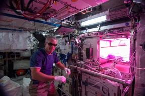 Салата у свемиру. Астронаути расту биљке на ИСС и зашто је то важно